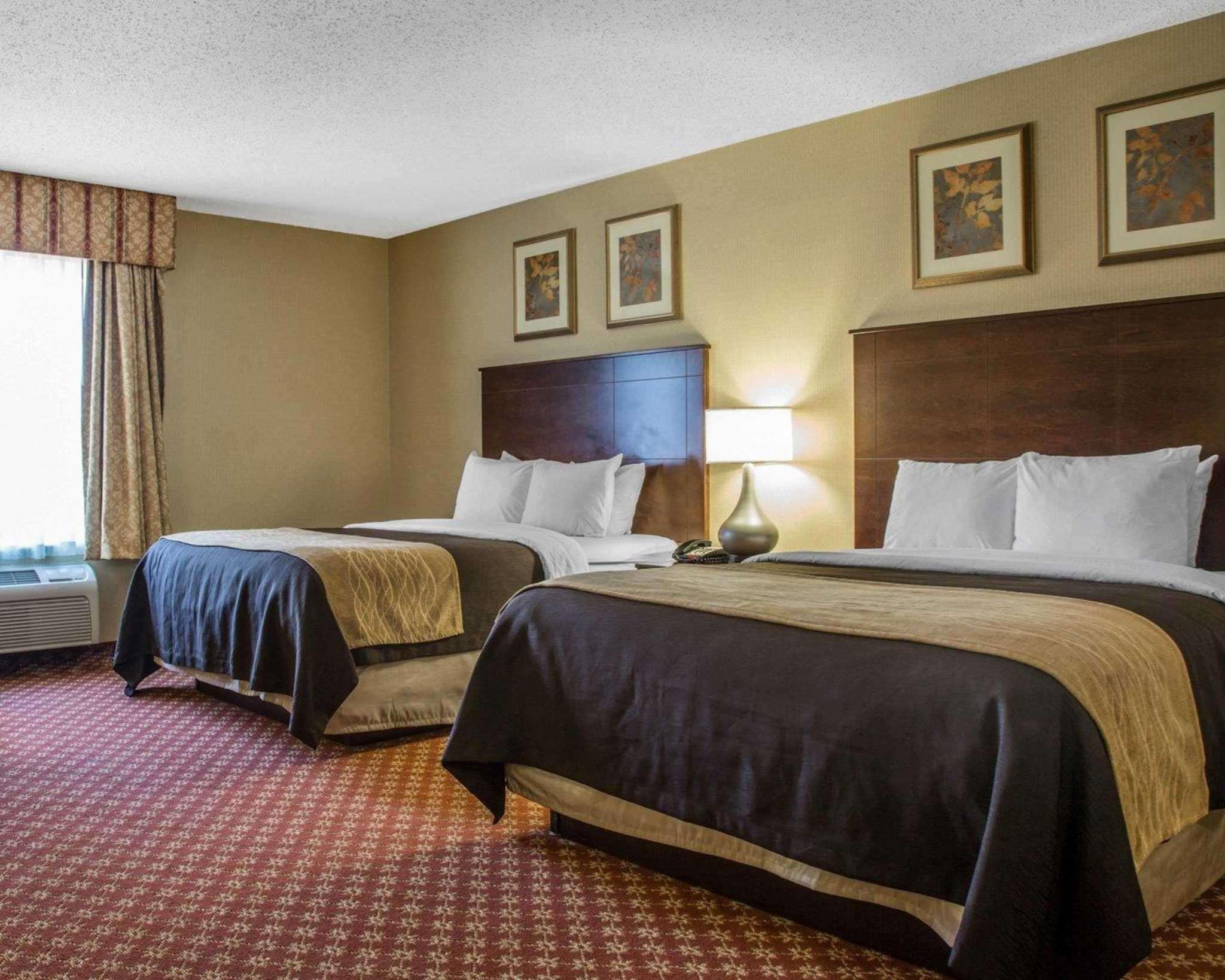 Comfort Inn Naugatuck-Shelton, Ct Eksteriør bilde