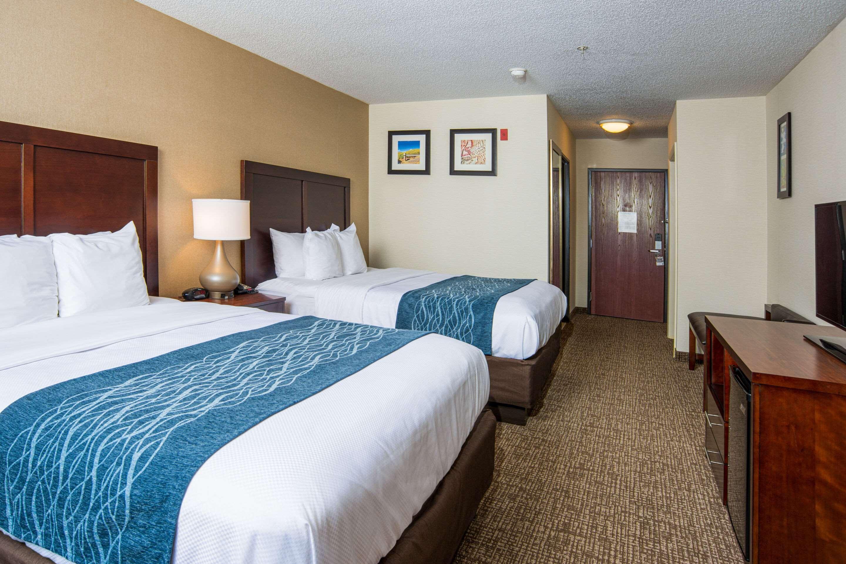 Comfort Inn Naugatuck-Shelton, Ct Eksteriør bilde