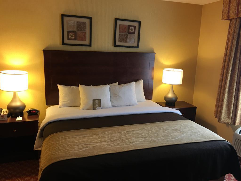 Comfort Inn Naugatuck-Shelton, Ct Eksteriør bilde